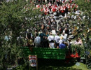 img 1260204868